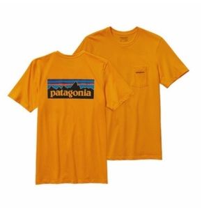 Patagonia Orange Responsibili-tee